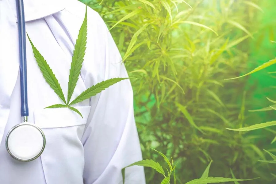 Medyczna marihuana gdzie kupić - kluczowe informacje i porady