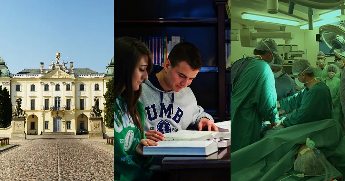 Doktor nauk medycznych po jakich studiach? Sprawdź wymagania edukacyjne