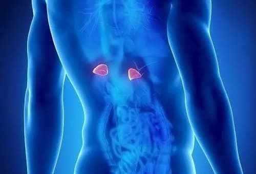 Badanie kortyzolu co to jest i dlaczego warto je wykonać