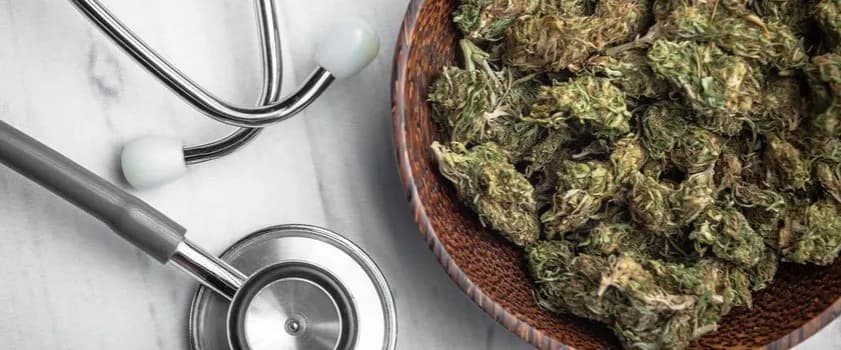 Medyczna marihuana na co? Poznaj najważniejsze zastosowania i korzyści
